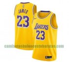 Camiseta LeBron James 23 Los Angeles Lakers 2020-21 Icon Dorado Hombre