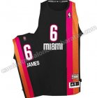 camiseta LeBron James #6 miami heat floridian negro